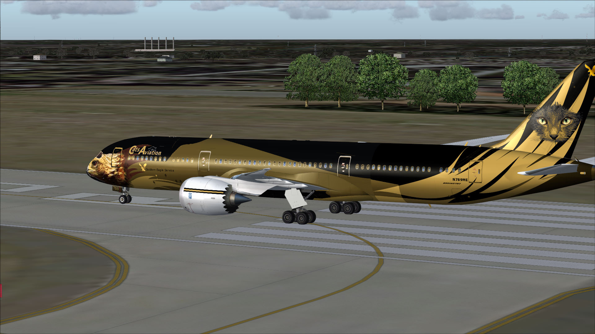 New Paint for the leased 787-900